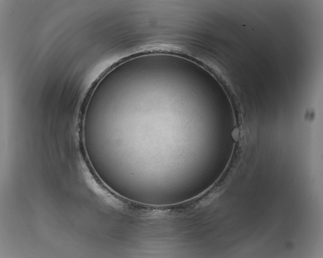 X0000111811038200907231229
