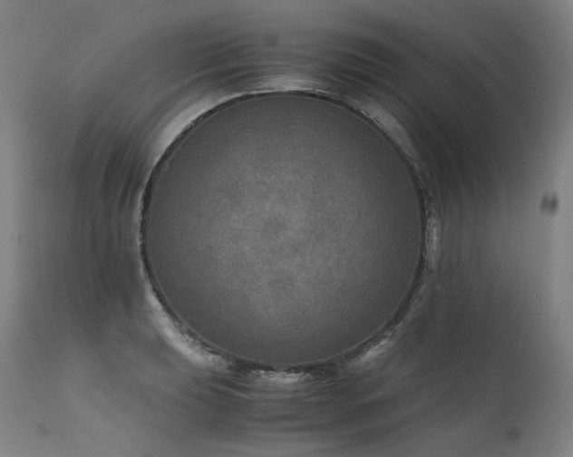 X0000111811039200907231230