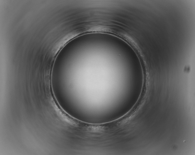 X0000111811041200907231230
