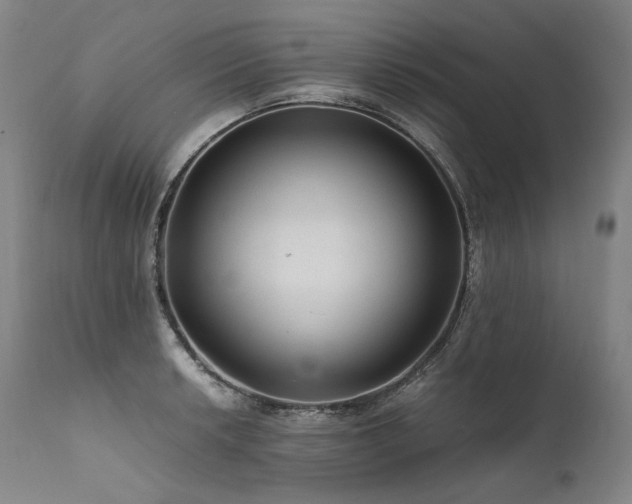X0000111811042200907231230