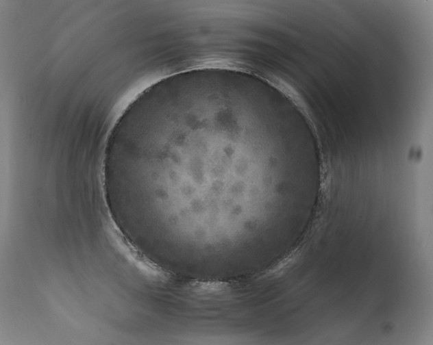 X0000111811043200907231230