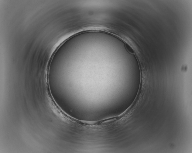 X0000111811044200907231230