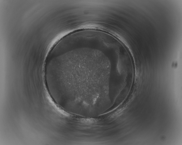 X0000111811045200907231230