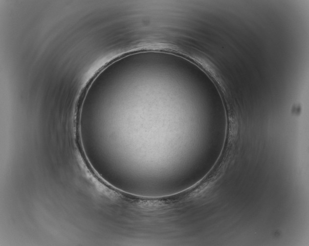 X0000111811046200907231230