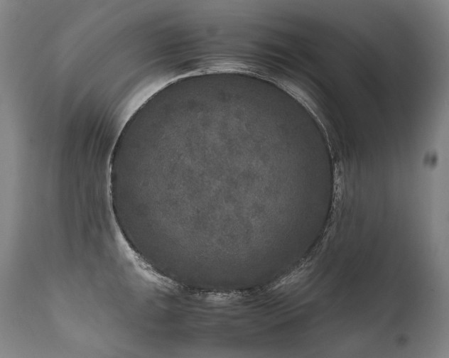 X0000111811047200907231230