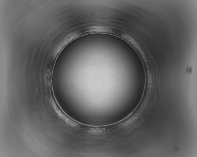 X0000111811049200907231230