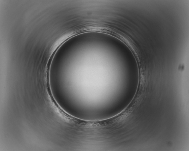 X0000111811050200907231230