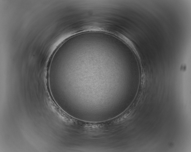 X0000111811051200907231230