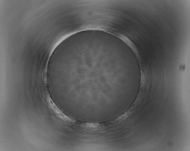 X0000111811052200907231230