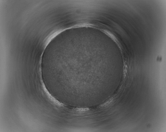 X0000111811055200907231230