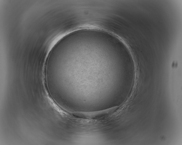 X0000111811056200907231230
