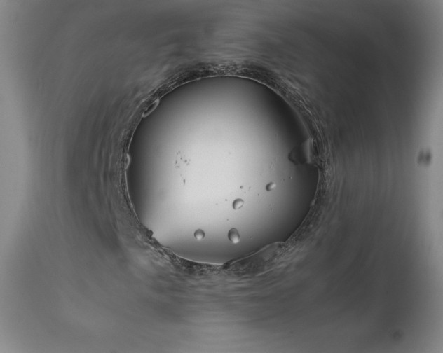 X0000111811057200907231229