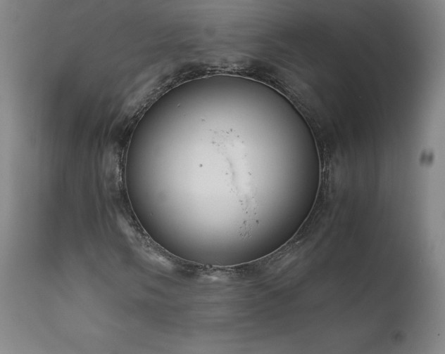 X0000111811058200907231229
