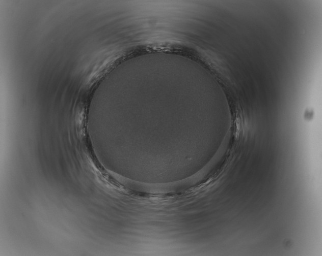 X0000111811060200907231229