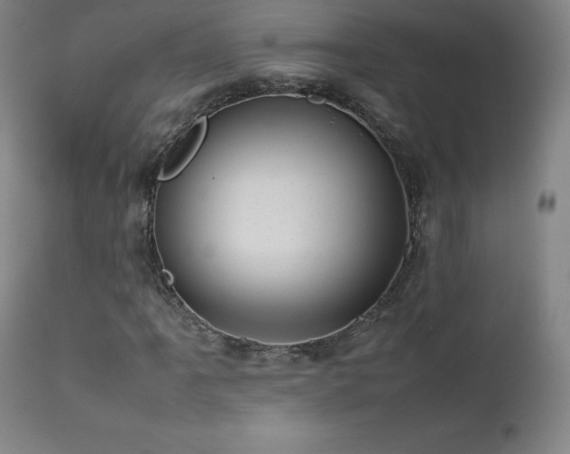 X0000111811061200907231229