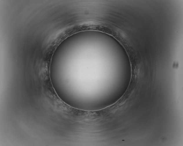 X0000111811062200907231229