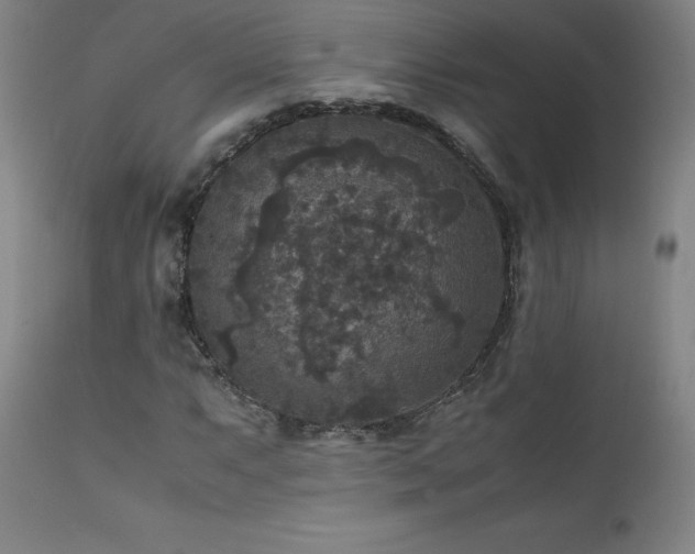 X0000111811063200907231229