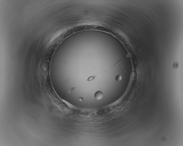 X0000111811064200907231229