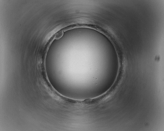 X0000111811065200907231229
