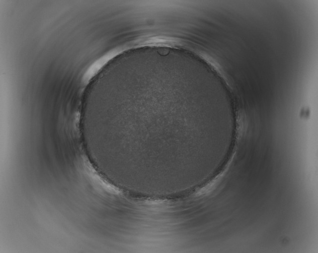 X0000111811066200907231229