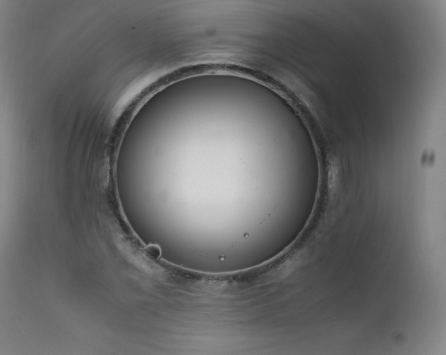 X0000111811069200907231229