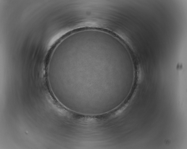 X0000111811070200907231229