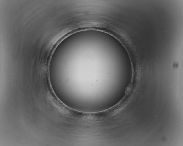 X0000111811073200907231229