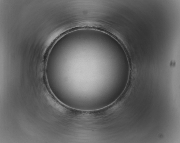 X0000111811075200907231229