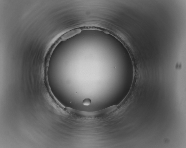 X0000111811076200907231229
