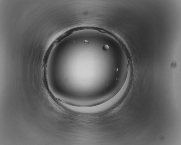 X0000111811077200907231229