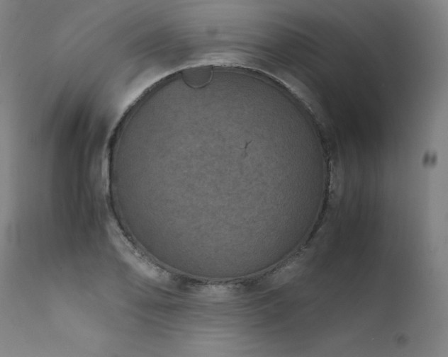 X0000111811078200907231229