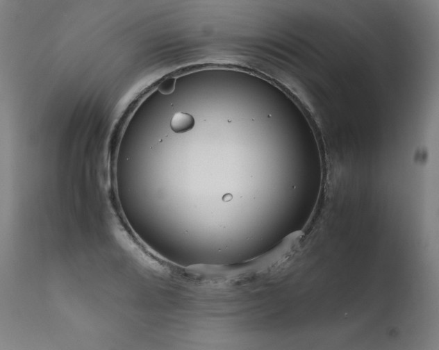 X0000111811080200907231229