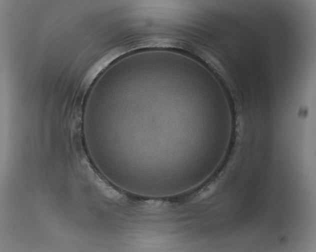 X0000111811081200907231229