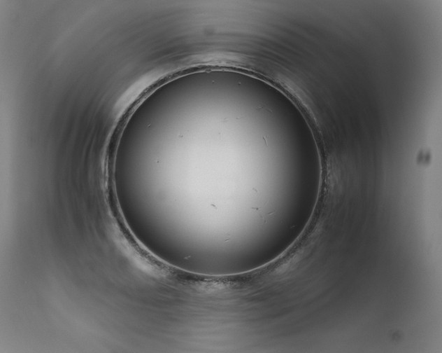 X0000111811082200907231229