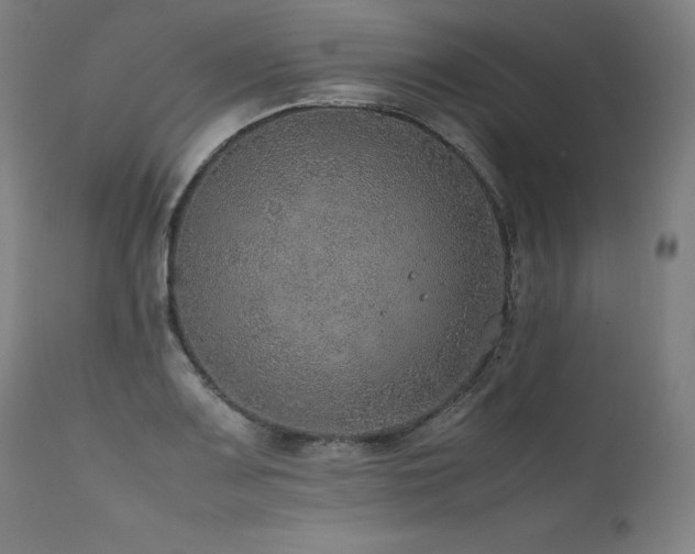 X0000111811083200907231229