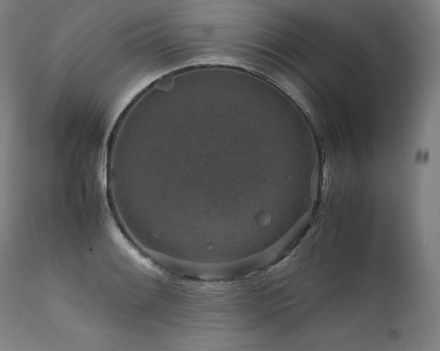 X0000111811084200907231229
