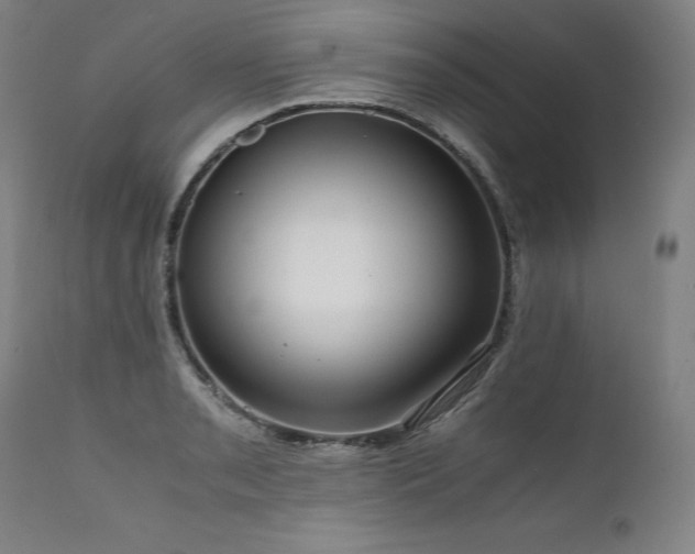 X0000111811085200907231229
