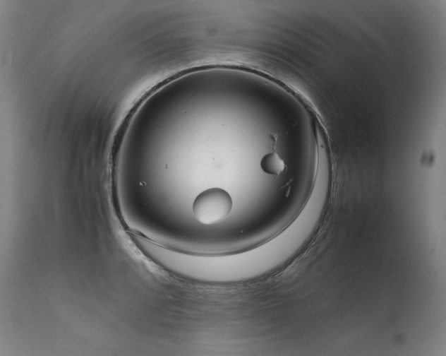 X0000111811088200907231228