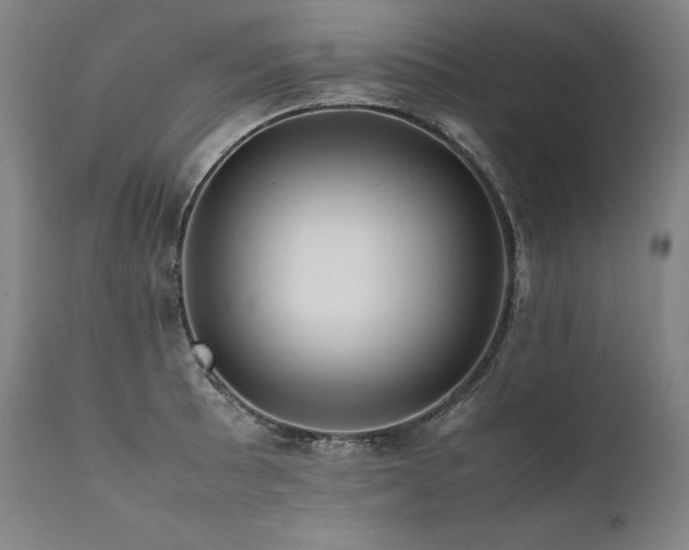 X0000111811089200907231228