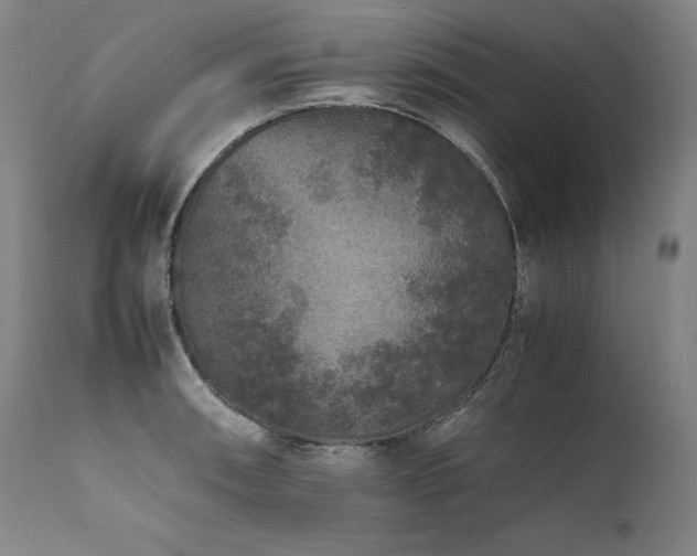 X0000111811090200907231228