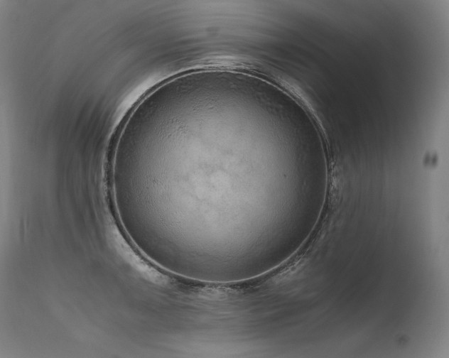 X0000111811091200907231228