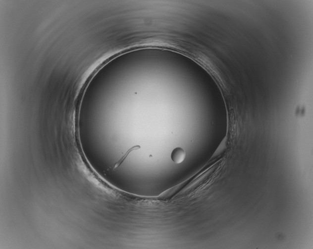 X0000111811092200907231228