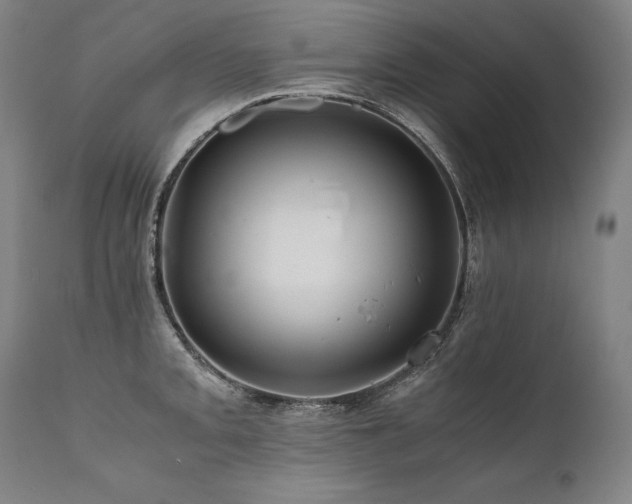 X0000111811093200907231228