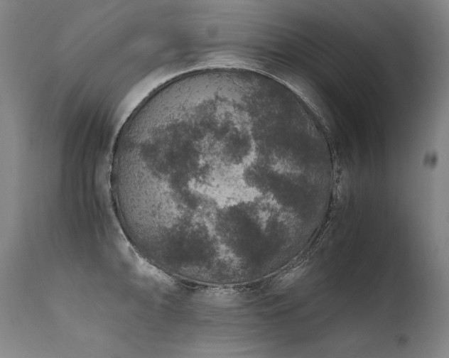 X0000111811094200907231228