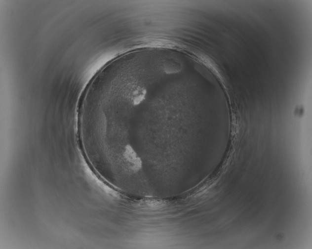 X0000111811095200907231228