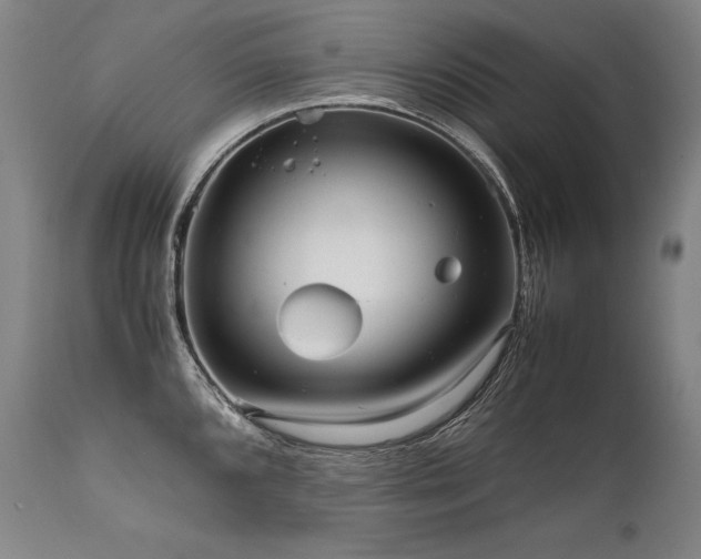 X0000111811096200907231228
