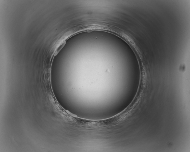 X0000111811097200907231228