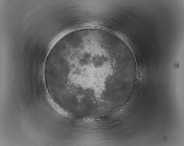 X0000111811098200907231228