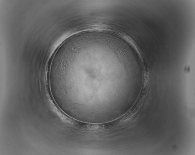 X0000111811099200907231228