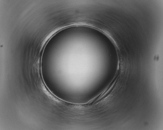 X0000111811100200907231228